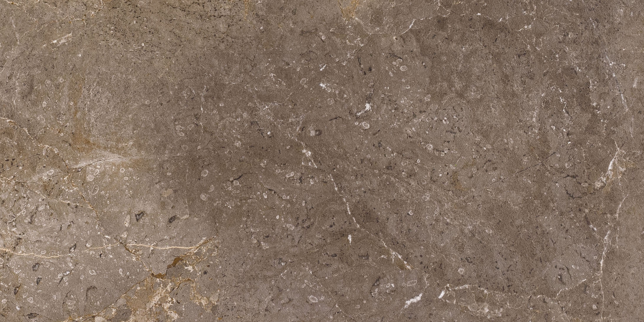 Imperial Brown: Braune Feinsteinzeugfliese in Natursteinoptik mit feiner Maserung.