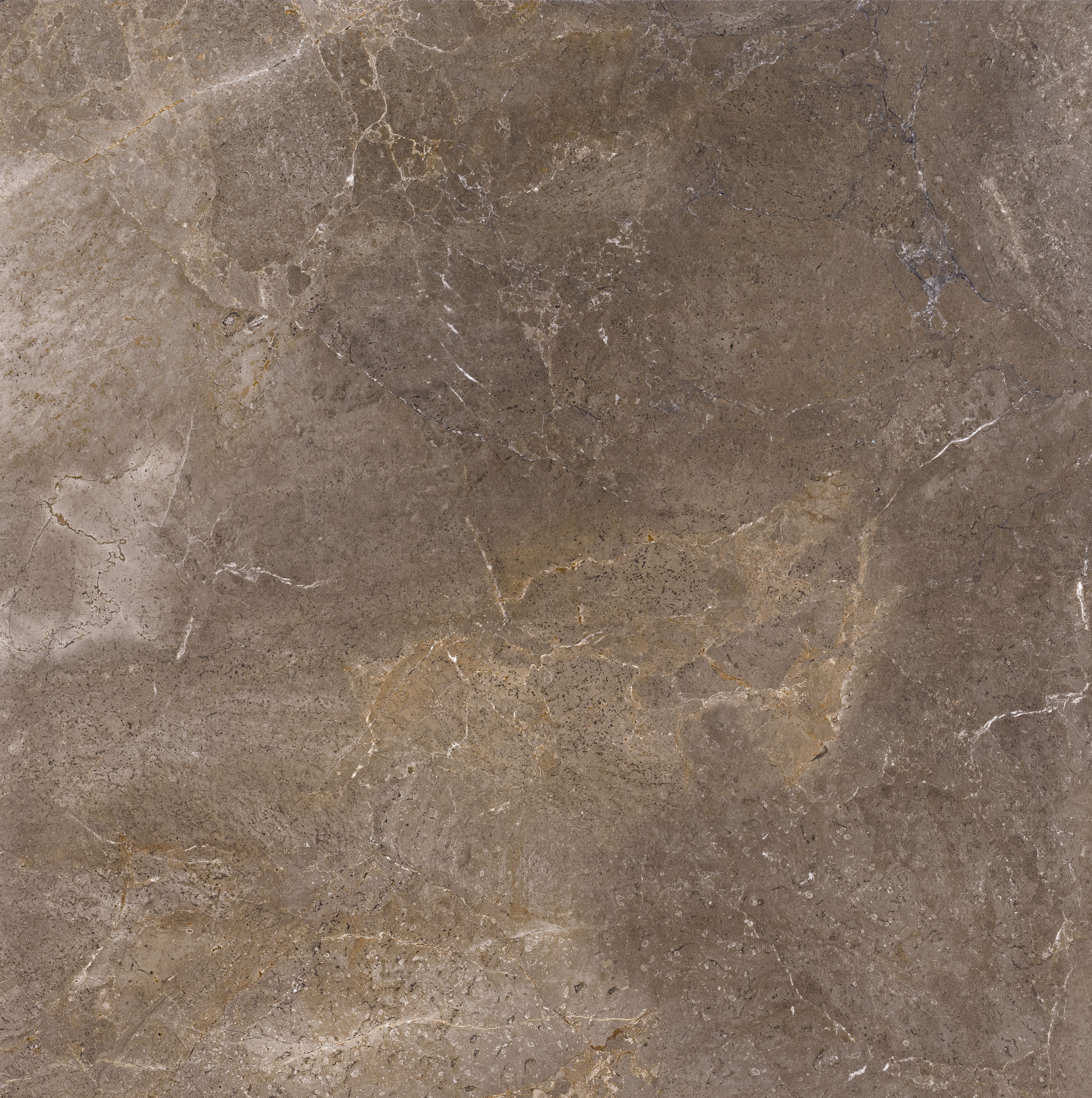 Imperial Brown: Braune Porcelaingres Fliese mit dezenter Textur.