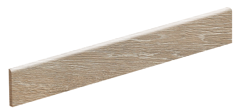Bullnose Acacia Bullnose Acacia